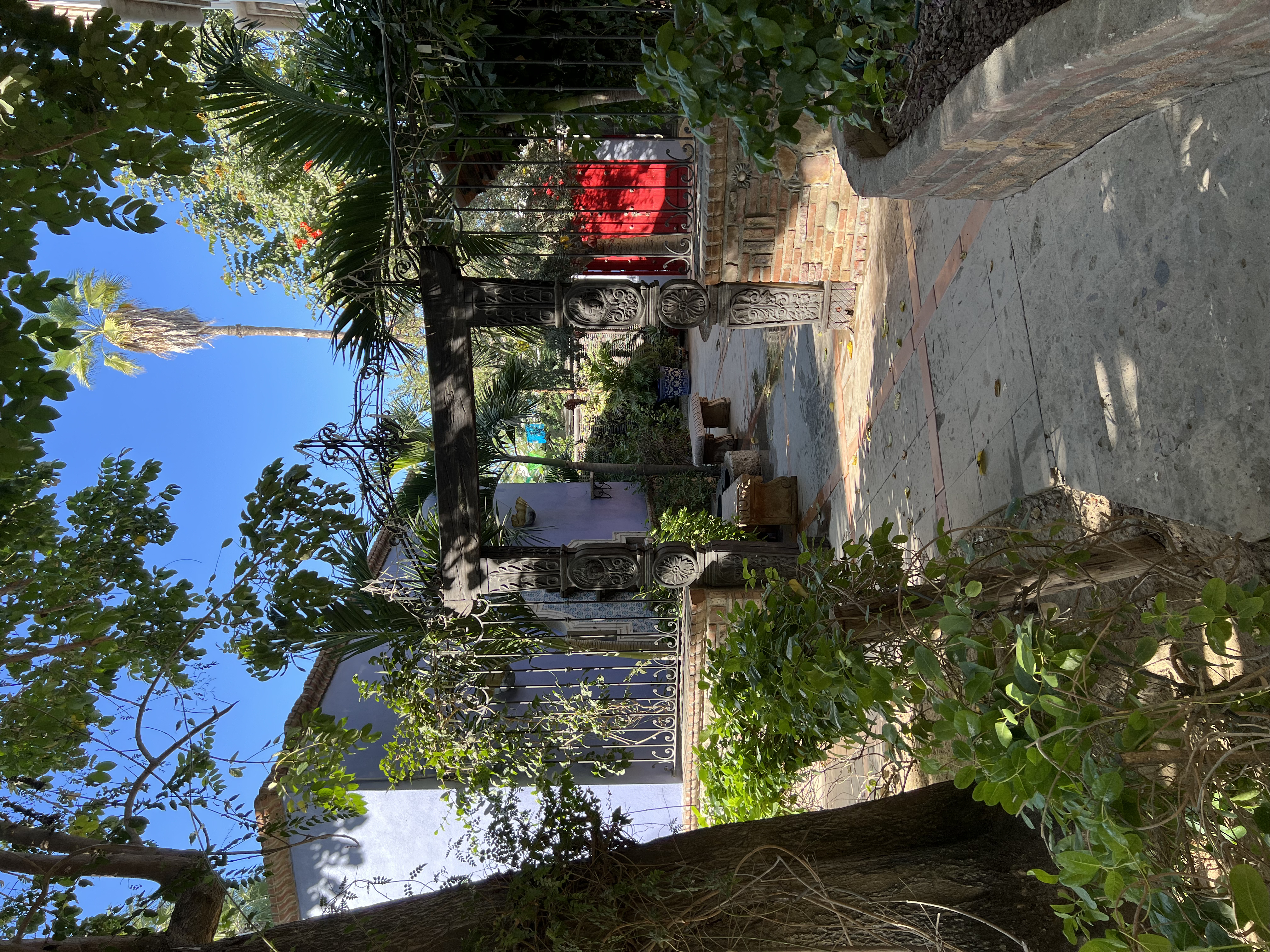 ./2024/13 - Cabo/IMG_4547.jpg